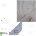 کشو گلویی کد 359